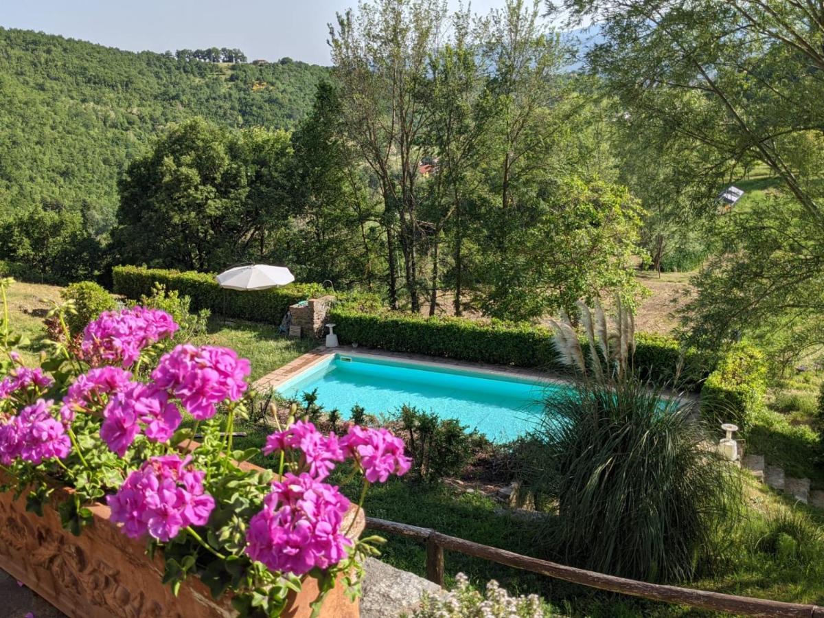Agriturismo Casentino - Fattoria Ventrina Martina Luaran gambar