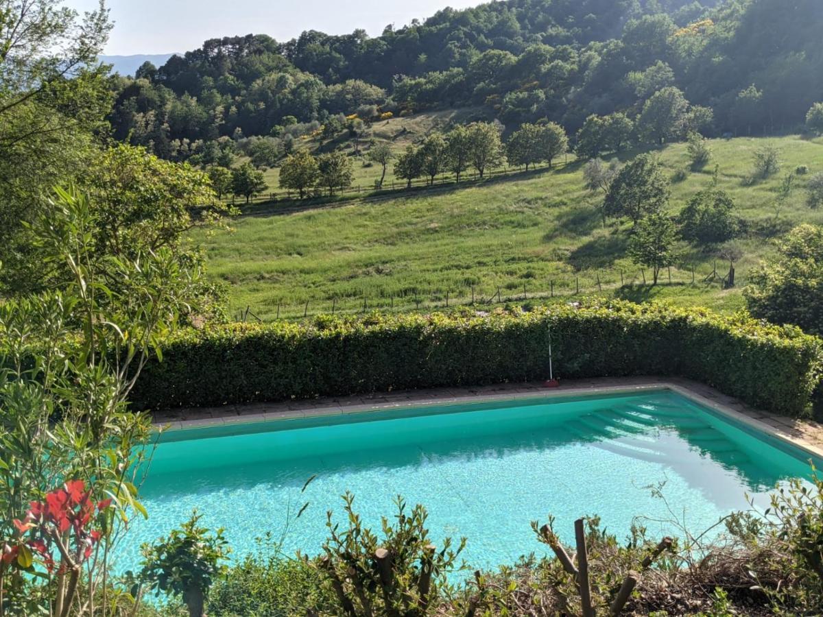 Agriturismo Casentino - Fattoria Ventrina Martina Luaran gambar
