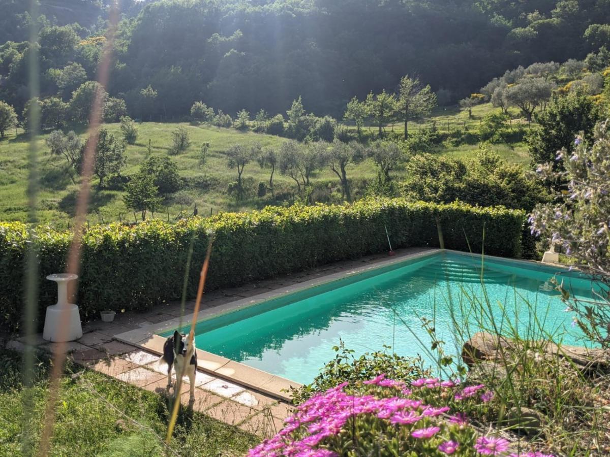 Agriturismo Casentino - Fattoria Ventrina Martina Luaran gambar
